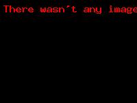 Сельский пейзаж / Rural Landscape